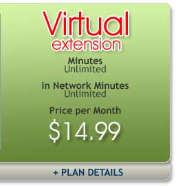 Virtual Extension